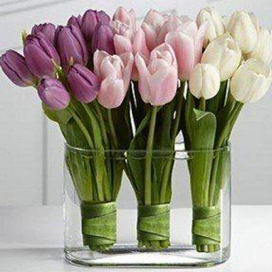 Mix Tulips in the vase