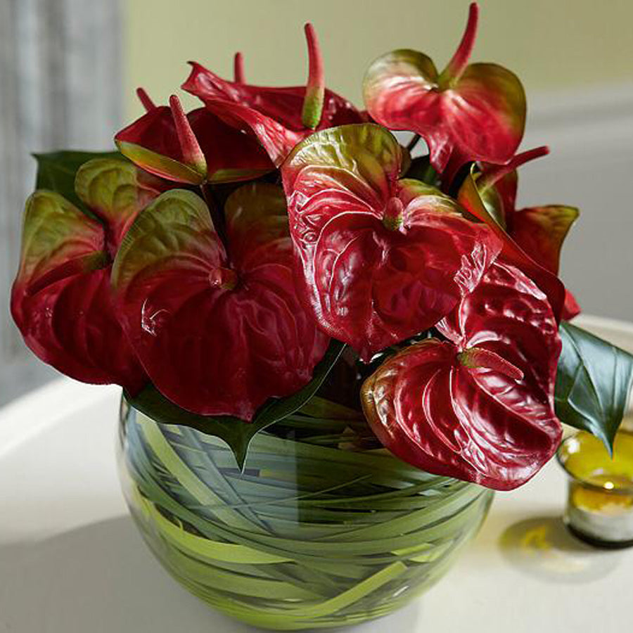 anthurium in fish tank Anthurium in a fishbowl – ronitflowers